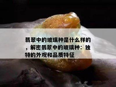 翡翠中的玻璃种是什么样的，解密翡翠中的玻璃种：独特的外观和品质特征