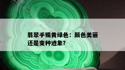 翡翠手镯黄绿色：颜色美丽还是变种迹象？