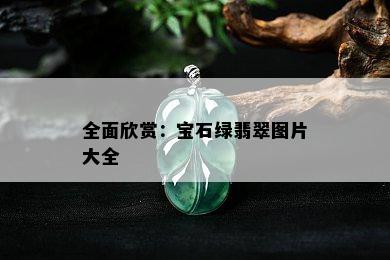 全面欣赏：宝石绿翡翠图片大全