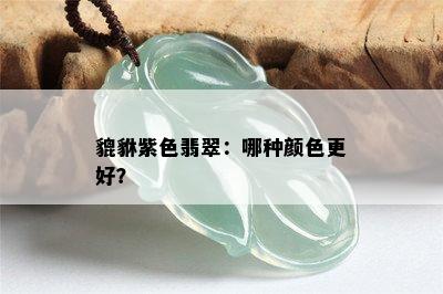 貔貅紫色翡翠：哪种颜色更好？