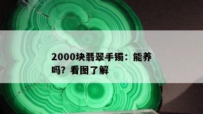 2000块翡翠手镯：能养吗？看图了解