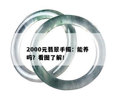 2000元翡翠手镯：能养吗？看图了解！