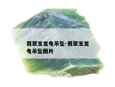 翡翠玉龙龟吊坠-翡翠玉龙龟吊坠图片