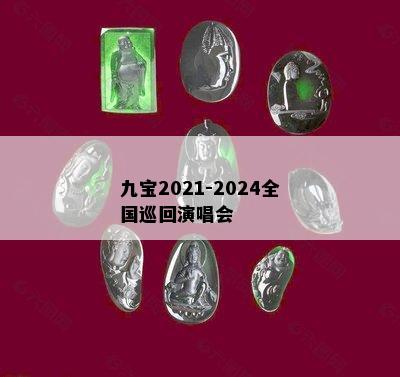 九宝2021-2024全国巡回演唱会