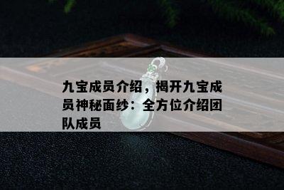 九宝成员介绍，揭开九宝成员神秘面纱：全方位介绍团队成员