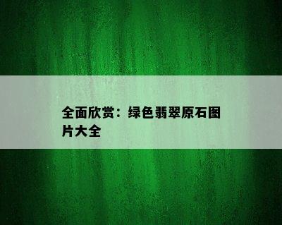 全面欣赏：绿色翡翠原石图片大全