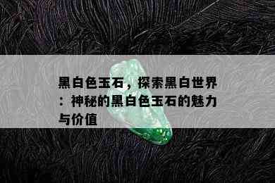 黑白色玉石，探索黑白世界：神秘的黑白色玉石的魅力与价值