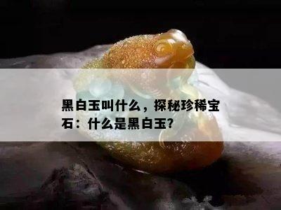 黑白玉叫什么，探秘珍稀宝石：什么是黑白玉？