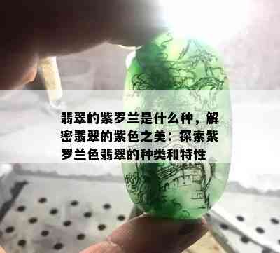 翡翠的紫罗兰是什么种，解密翡翠的紫色之美：探索紫罗兰色翡翠的种类和特性