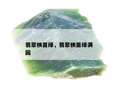 翡翠秧苗绿，翡翠秧苗绿满园