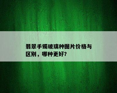 翡翠手镯玻璃种图片价格与区别，哪种更好？