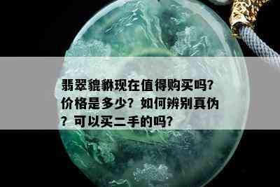 翡翠貔貅现在值得购买吗？价格是多少？如何辨别真伪？可以买二手的吗？