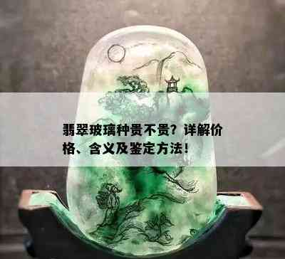 翡翠玻璃种贵不贵？详解价格、含义及鉴定方法！