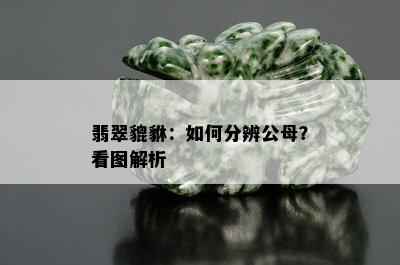 翡翠貔貅：如何分辨公母？看图解析