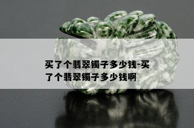 买了个翡翠镯子多少钱-买了个翡翠镯子多少钱啊