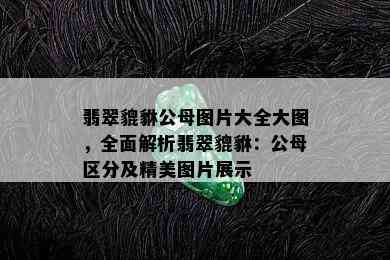 翡翠貔貅公母图片大全大图，全面解析翡翠貔貅：公母区分及精美图片展示