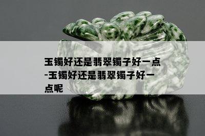 玉镯好还是翡翠镯子好一点-玉镯好还是翡翠镯子好一点呢