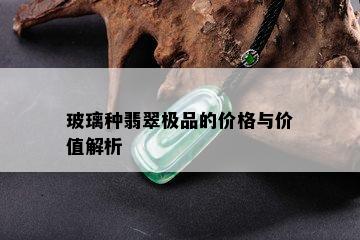 玻璃种翡翠极品的价格与价值解析