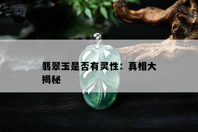 翡翠玉是否有灵性：真相大揭秘