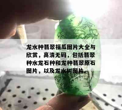 龙水种翡翠福瓜图片大全与欣赏，高清 *** ，包括翡翠种水龙石种和龙种翡翠原石图片，以及龙水树图片。