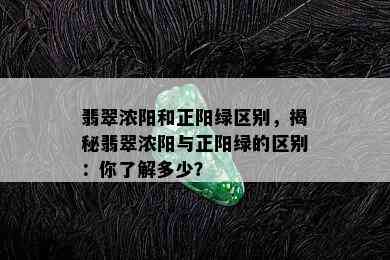 翡翠浓阳和正阳绿区别，揭秘翡翠浓阳与正阳绿的区别：你了解多少？