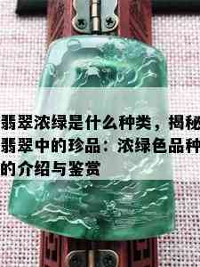 翡翠浓绿是什么种类，揭秘翡翠中的珍品：浓绿色品种的介绍与鉴赏