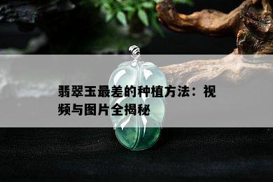 翡翠玉最差的种植方法：视频与图片全揭秘