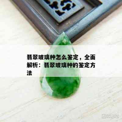 翡翠玻璃种怎么鉴定，全面解析：翡翠玻璃种的鉴定方法