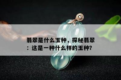 翡翠是什么玉种，探秘翡翠：这是一种什么样的玉种？