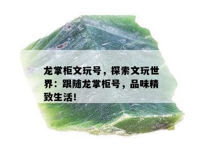 龙掌柜文玩号，探索文玩世界：跟随龙掌柜号，品味精致生活！