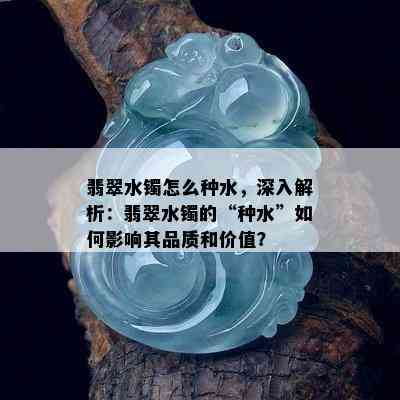 翡翠水镯怎么种水，深入解析：翡翠水镯的“种水”如何影响其品质和价值？