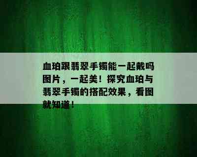 血珀跟翡翠手镯能一起戴吗图片，一起美！探究血珀与翡翠手镯的搭配效果，看图就知道！