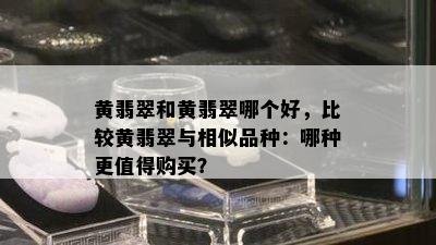 黄翡翠和黄翡翠哪个好，比较黄翡翠与相似品种：哪种更值得购买？