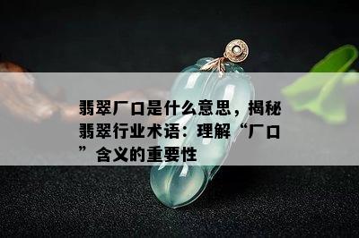 翡翠厂口是什么意思，揭秘翡翠行业术语：理解“厂口”含义的重要性