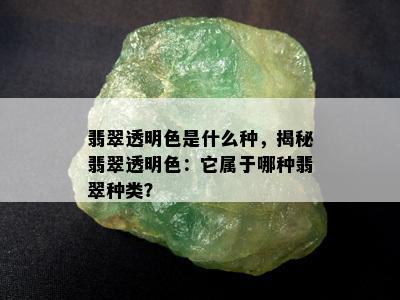 翡翠透明色是什么种，揭秘翡翠透明色：它属于哪种翡翠种类？