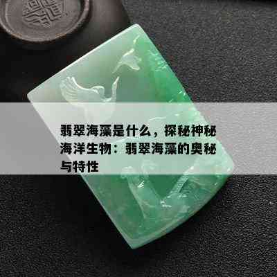 翡翠海藻是什么，探秘神秘海洋生物：翡翠海藻的奥秘与特性