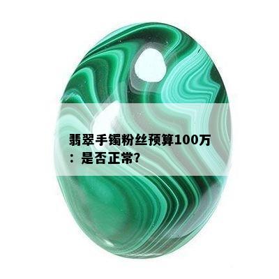 翡翠手镯粉丝预算100万：是否正常？