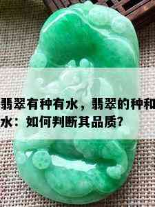 翡翠有种有水，翡翠的种和水：如何判断其品质？