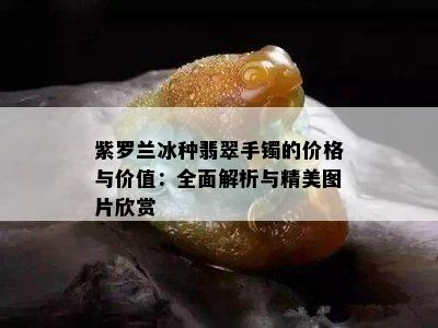 紫罗兰冰种翡翠手镯的价格与价值：全面解析与精美图片欣赏