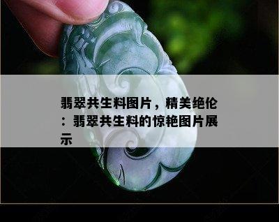 翡翠共生料图片，精美绝伦：翡翠共生料的惊艳图片展示