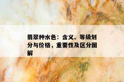 翡翠种水色：含义、等级划分与价格，重要性及区分图解