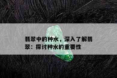 翡翠中的种水，深入了解翡翠：探讨种水的重要性