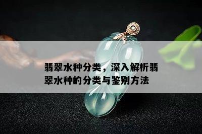 翡翠水种分类，深入解析翡翠水种的分类与鉴别方法