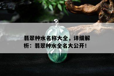 翡翠种水名称大全，详细解析：翡翠种水全名大公开！