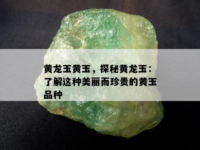 黄龙玉黄玉，探秘黄龙玉：了解这种美丽而珍贵的黄玉品种