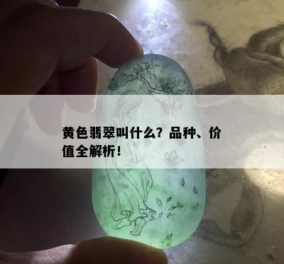 黄色翡翠叫什么？品种、价值全解析！