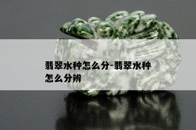 翡翠水种怎么分-翡翠水种怎么分辨