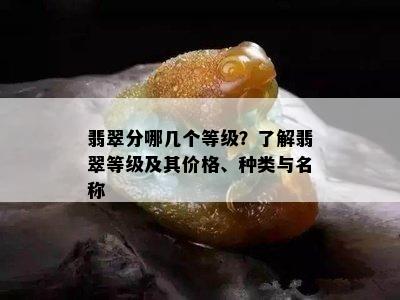 翡翠分哪几个等级？了解翡翠等级及其价格、种类与名称