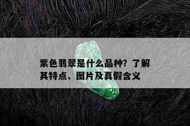 紫色翡翠是什么品种？了解其特点、图片及真假含义