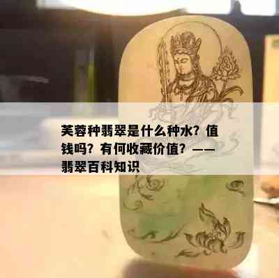 芙蓉种翡翠是什么种水？值钱吗？有何收藏价值？——翡翠百科知识